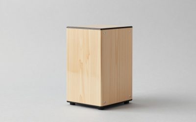 Best Cajons in 2026: Meinl, Schlagwerk, LP and More