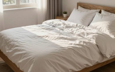 Best Sleep Noise Machines in 2026: Compared and Ranked