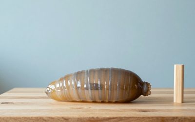 Best Hydroids in Water Bottle in 2026: How the Top Models Compare